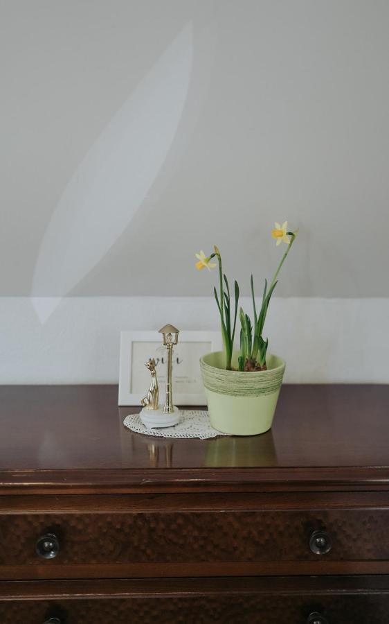 Mozinetova Hisa Apartment Sentjost nad Horjulom